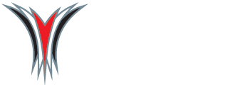 Young Champions of America